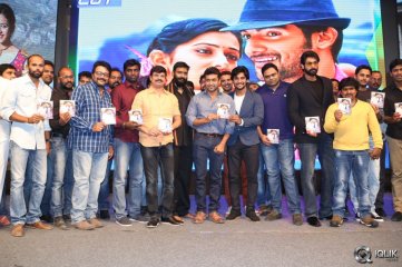Rough Movie Audio Launch